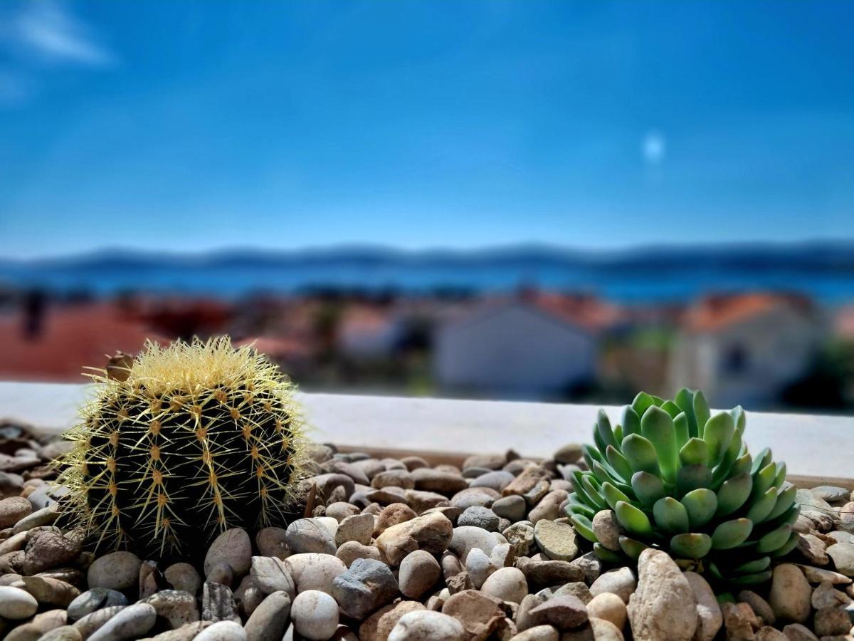 圣菲利普雅科夫Seaview公寓 外观 照片
